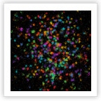 Winter School on Ultracold Quantum Many-Body Systems