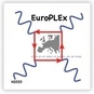 EuroPLEx Summer School 2022